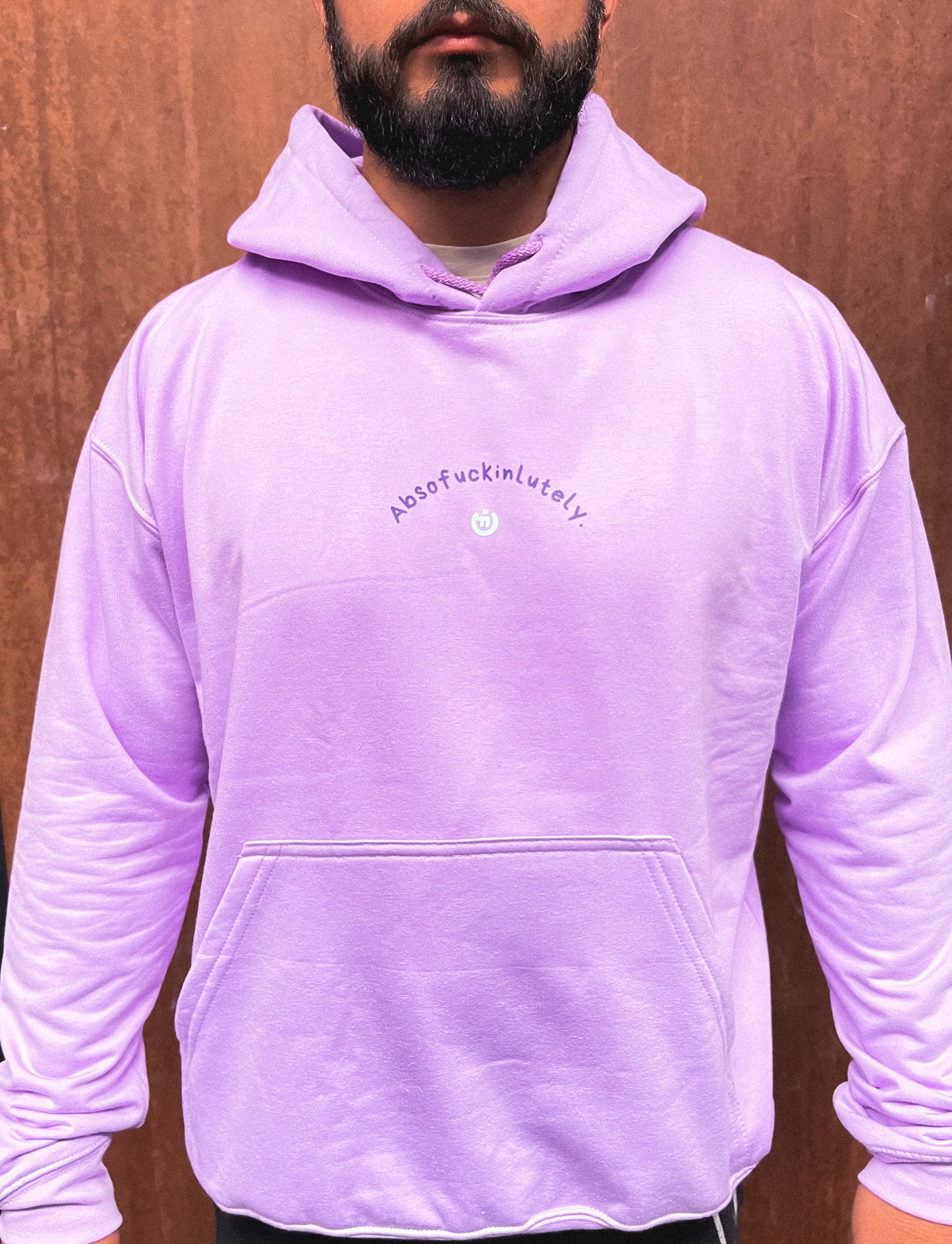 Hoodie / Buzo CF ABSOFUCKINGLUTELY MORADO